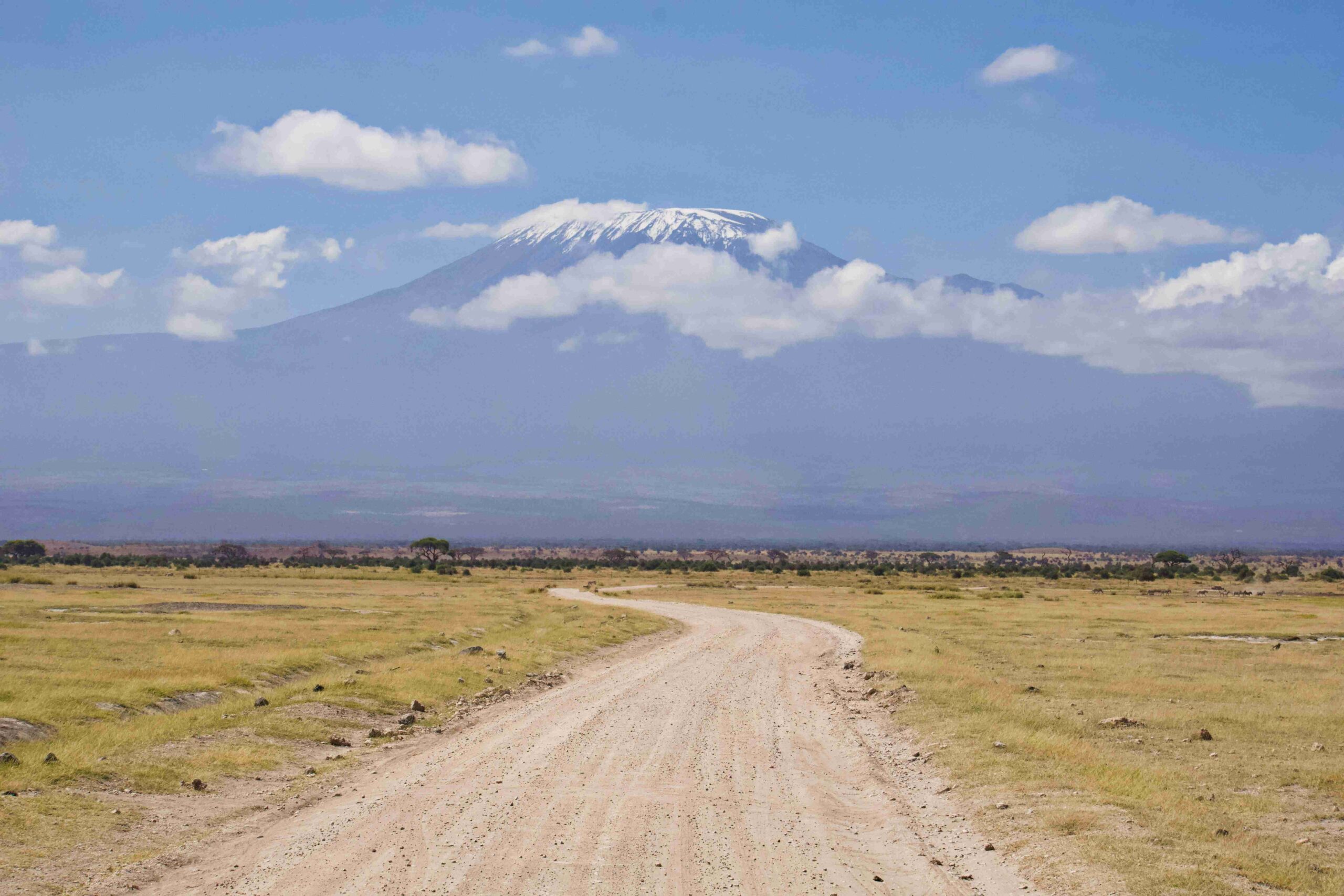 Amboseli 3