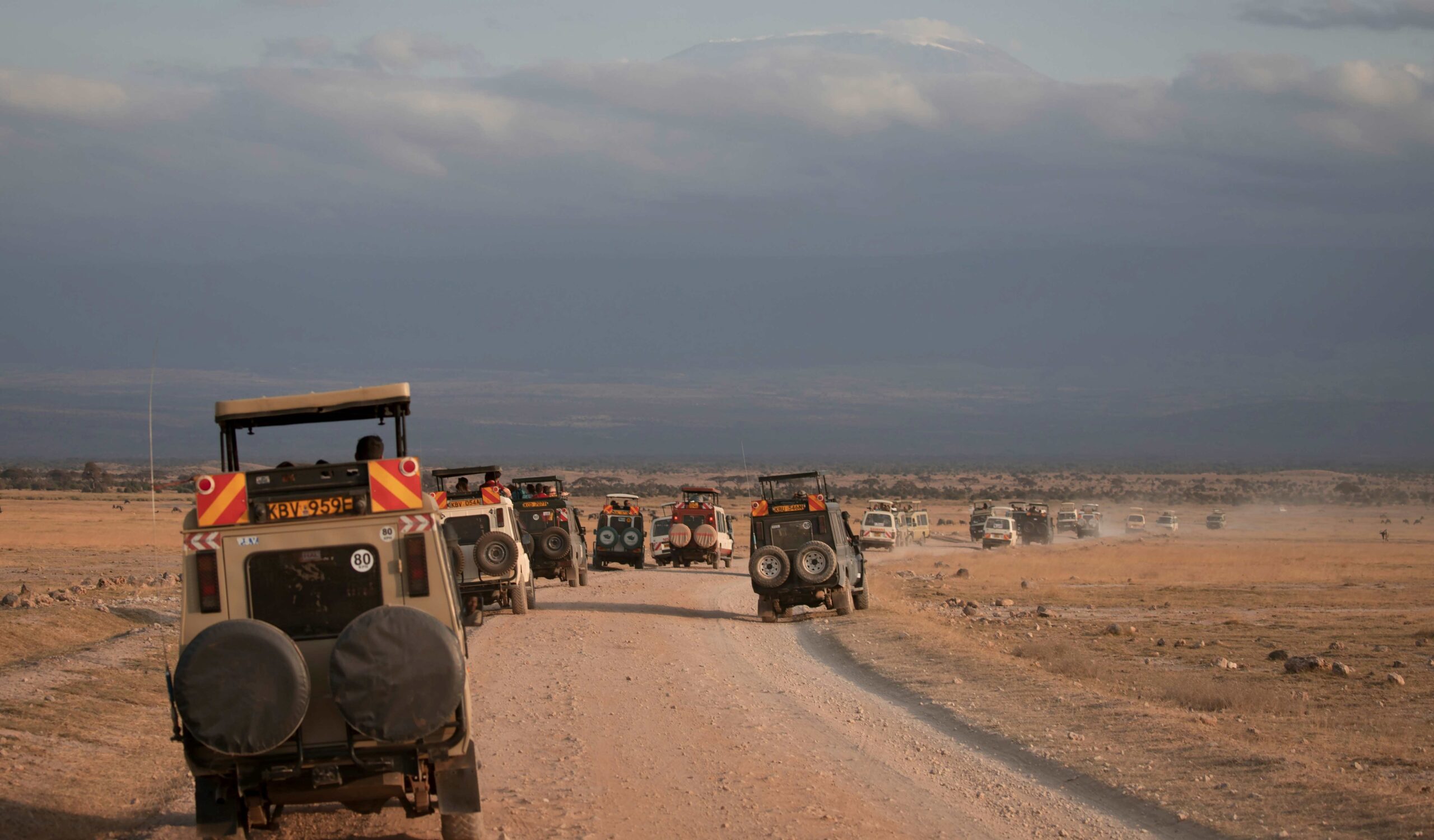 Amboseli 5