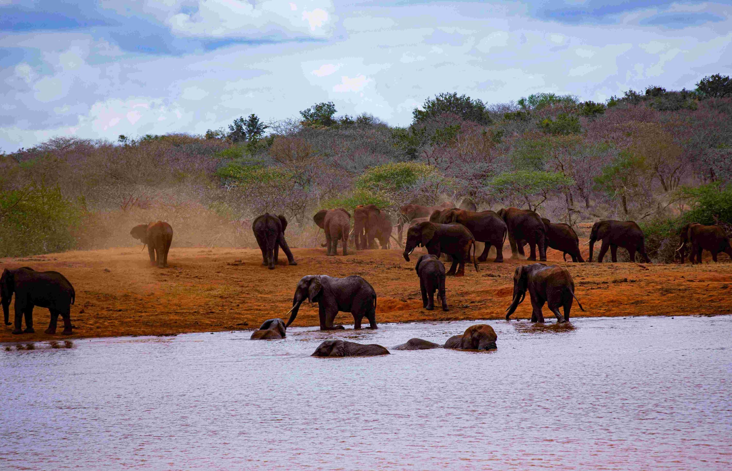 Tsavo4