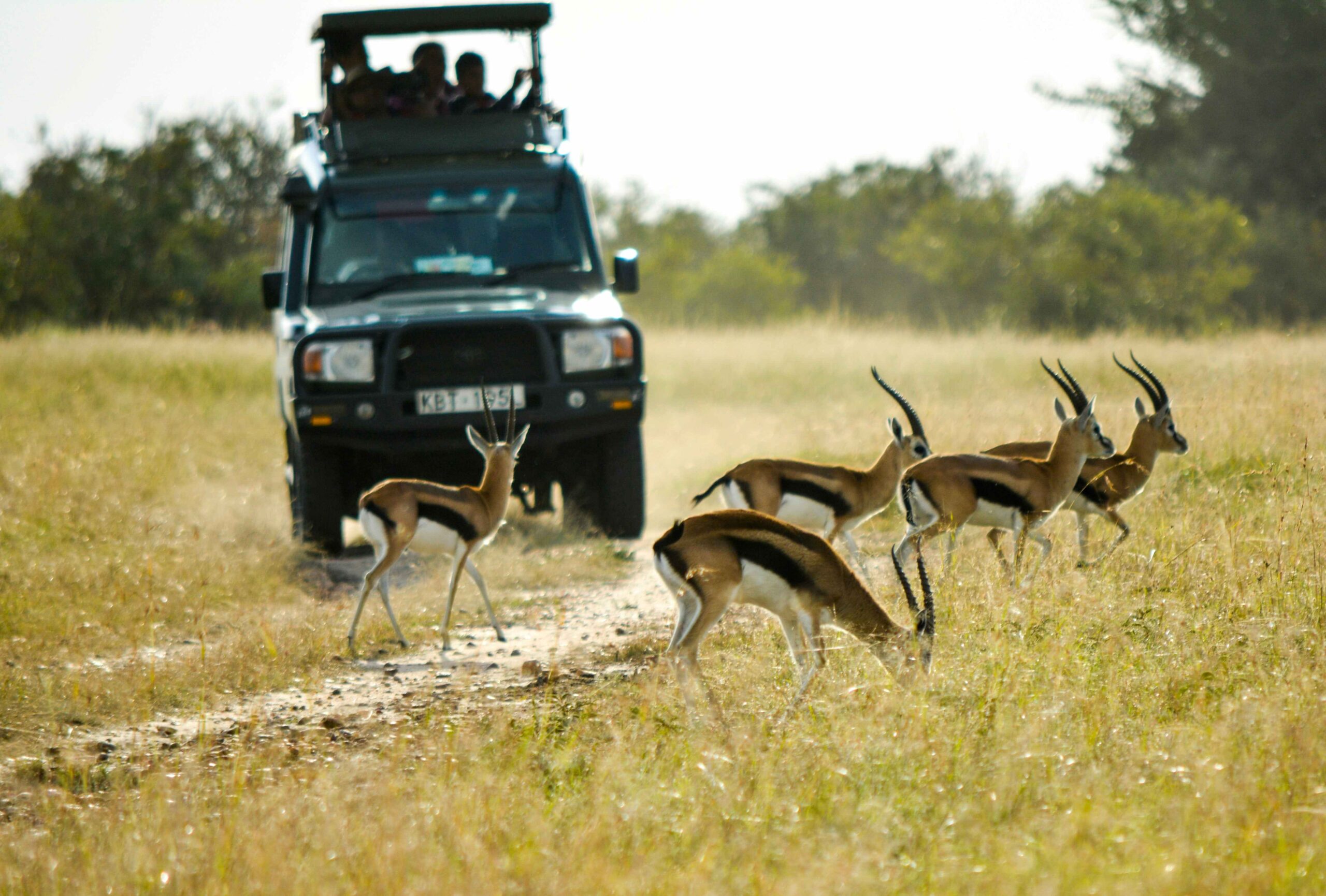 maasai maara 3